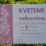 IMG 20250422 095140